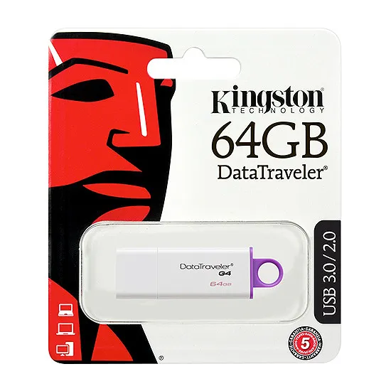 USB Flash memorija Kingston 64GB 3.0 srebrno-ljubicasta 